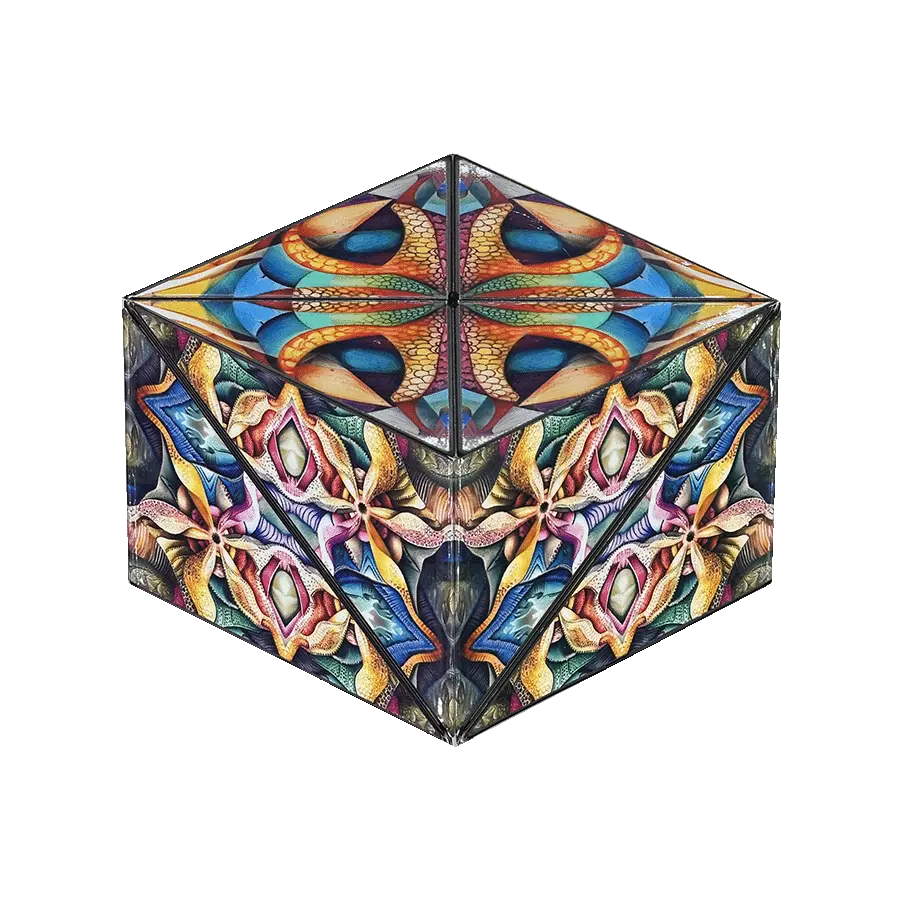 Shashibo Icosa - Art Series