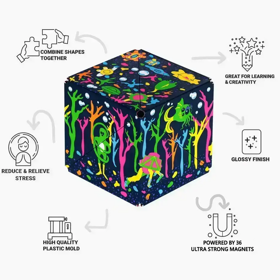 Meow Wolf Series - Flow Play